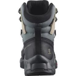 SALOMON QUEST ELEMENT GORE-TEX W EBONY/RAINY DAY/STORMY WEATHER 23 -Hiking Shoes Shop 9 90234 quest element gore tex w ebony rainy day stormy weather l41457400 04